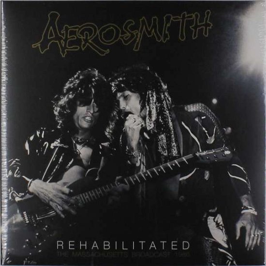Rehabilitated - Aerosmith - Musikk - ROCK CLASSICS - 0803341492325 - 12. februar 2016