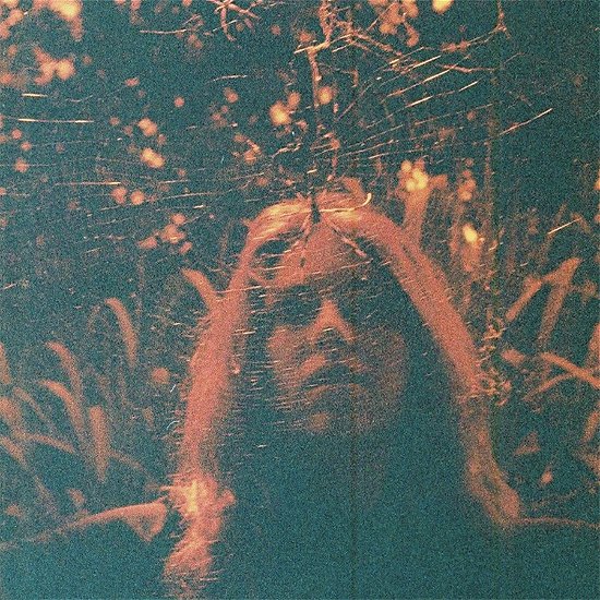 Cover for Turnover · Peripheral Vision (Orange Cass (Cassette) (2015)