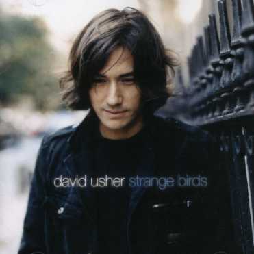 Cover for David Usher · Strange Birds (CD) (2007)