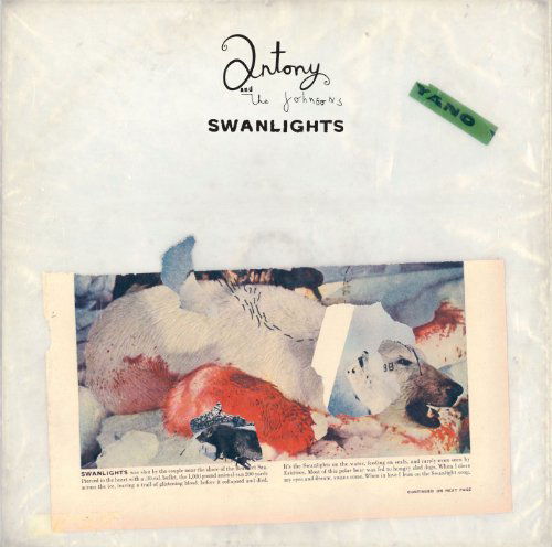 Swanlights - Antony & the Johnsons - Musik - ROUGH TRADE RECORDS - 0883870057325 - 11. Oktober 2010