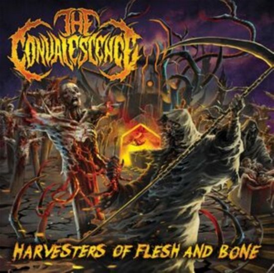 Cover for Convalescence · Harvesters Of Flesh And Bone (CD) (2023)