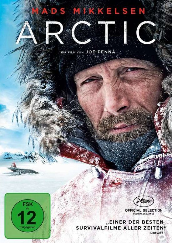 Cover for Arctic (DVD) (2019)