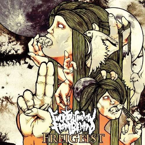Cover for Fuck Your Shadow From Behind · Freigeist (CD) (2010)