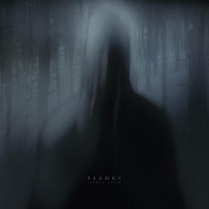 Cover for Planks · Funeral Mouth (LP) (2012)