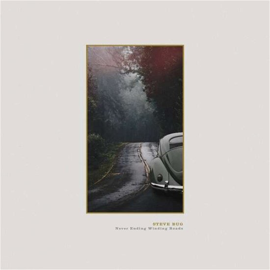 Cover for Steve Bug · Never Ending Winding Roads (LP) [Deluxe edition] (2020)