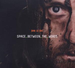 Cover for Dan Le Sac · Space Between The Words (CD) (2012)