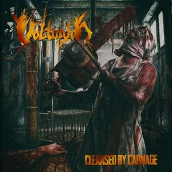Cover for Volturyon · Cleansed By Carnage (LP) (2016)