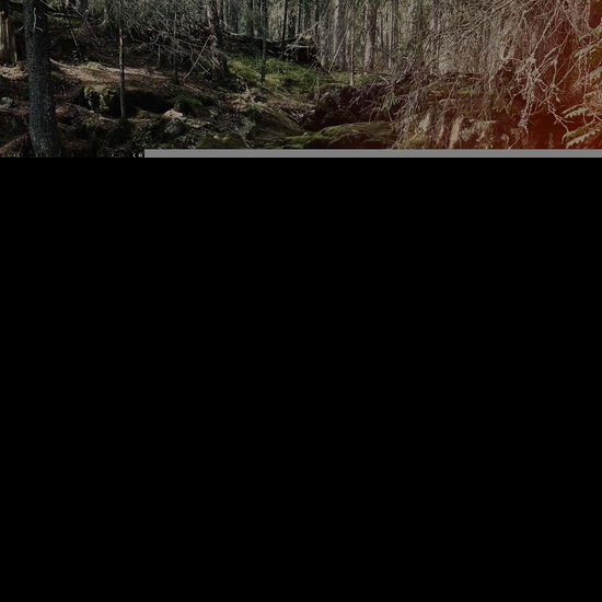 Dunkelglod - Dimbild - Music - NAPALM RECORDS - 8715392243325 - August 23, 2024