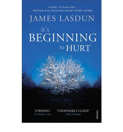 Cover for James Lasdun · It's Beginning To Hurt (Paperback Book) (2010)