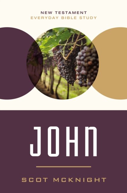 Cover for Scot McKnight · John: Responding to the Incomparable Story of Jesus - New Testament Everyday Bible Study Series (Paperback Book) (2023)