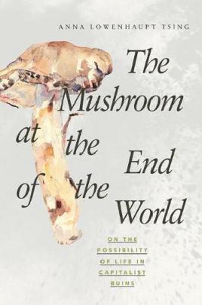 The Mushroom at the End of the World: On the Possibility of Life in Capitalist Ruins - Anna Lowenhaupt Tsing - Kirjat - Princeton University Press - 9780691178325 - tiistai 19. syyskuuta 2017