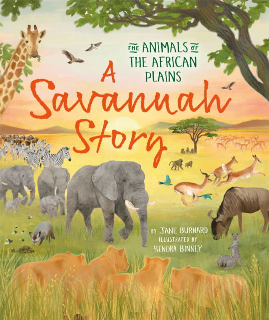 Jane Burnard · A Savannah Story: The animals of the African plains - An Arctic Story series (Hardcover Book) (2024)