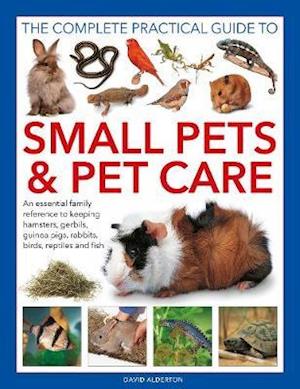 Cover for David Alderton · Small Pets and Pet Care, The Complete Practical Guide to: An essential family reference to keeping hamsters, gerbils, guinea pigs, rabbits, birds, reptiles and fish (Inbunden Bok) (2022)