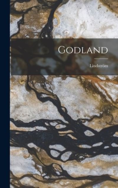 Cover for Lindström · Godland (Buch) (2022)