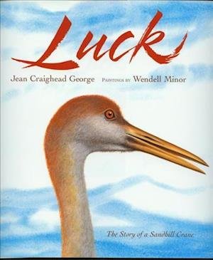 Cover for Jean Craighead George · Luck (Hardcover Book) (2008)