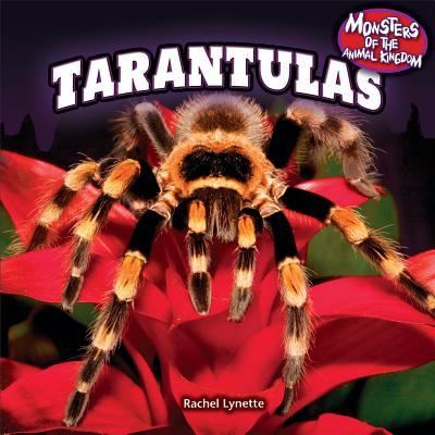 Cover for Rachel Lynette · Tarantulas (Book) [1st edition] (2013)