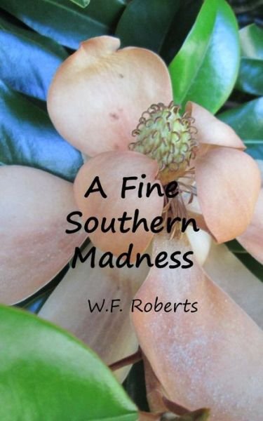 Cover for W F Roberts · A Fine Southern Madness (Paperback Book) (2013)