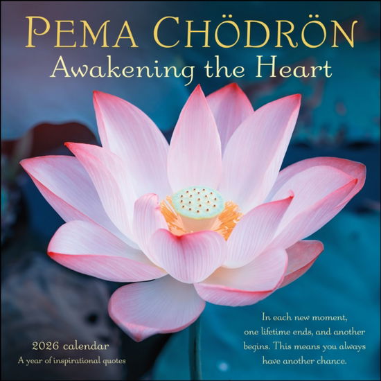 Cover for Pema Chodron · Pema Chodron 2026 Wall Calendar: Awakening the Heart—A Year of Inspiring Quotes (Calendar) (2025)