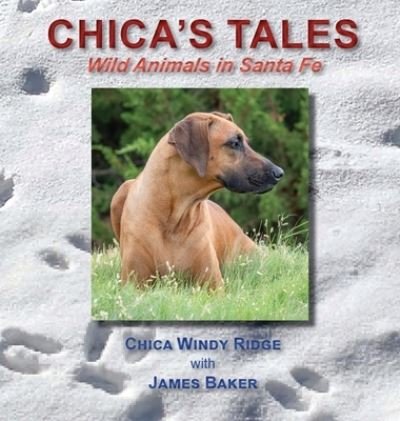 Chicas Tales - James Baker - Books - Sunstone Press - 9781632936325 - October 28, 2023