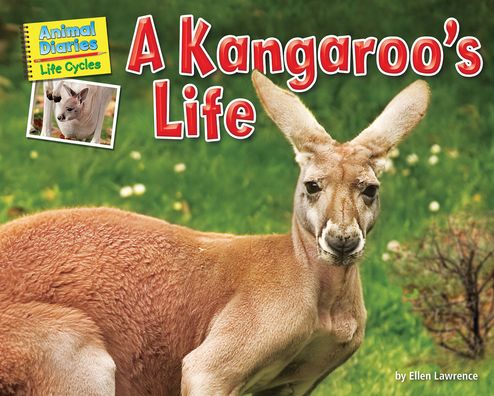 Cover for Ellen Lawrence · Kangaroo's Life (Book) (2020)