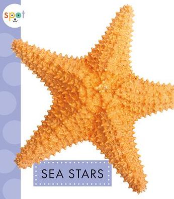 Cover for Mari C Schuh · Sea Stars (Hardcover Book) (2019)