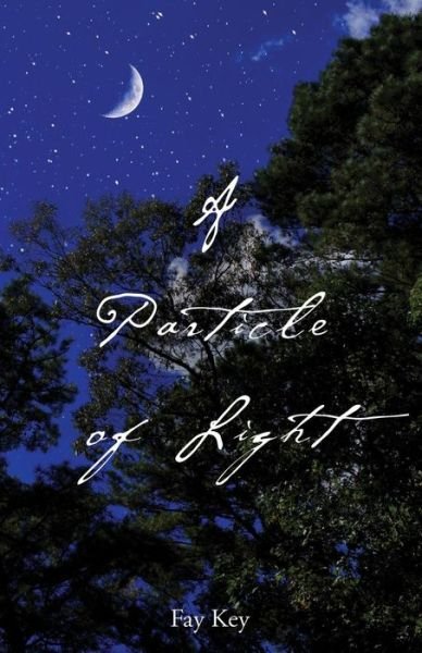 Cover for Fay Key · A Particle of Light (Paperback Book) (2019)
