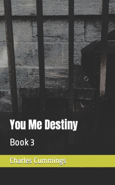 Cover for Charles Cummings · You Me Destiny: Book 3 (Paperback Book) (2021)