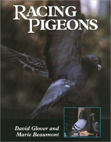 Cover for David Glover · Racing Pigeons (Hardcover Book) (1999)