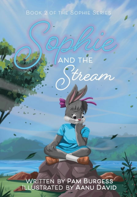 Cover for Pam Burgess · Sophie and the Stream - Sophie (Paperback Book) (2022)