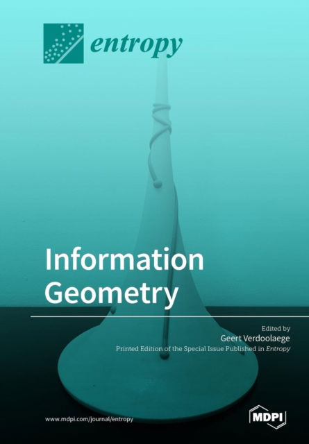 Cover for Geert Verdoolaege · Information Geometry (Paperback Book) (2019)