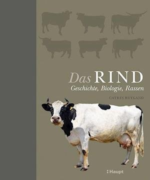 Cover for Catrin Rutland · Das Rind (Innbunden bok) (2022)