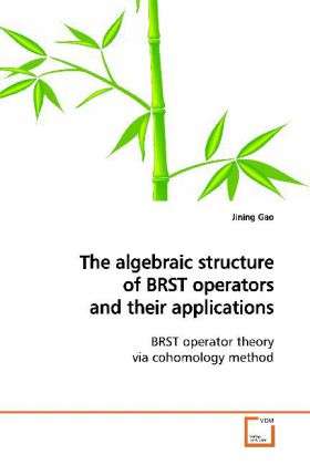 Cover for Gao · The algebraic structure of BRST ope (Book)