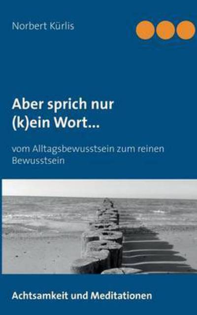 Cover for Norbert Kurlis · Aber sprich nur (k)ein Wort...: Vom Alltagsbewusstsein zum reinen Bewusstsein (Paperback Book) (2016)