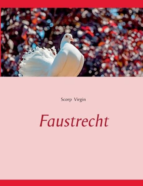 Cover for Virgin · Faustrecht (Buch) (2017)