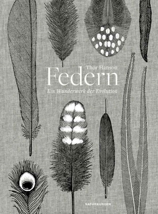 Cover for Hanson · Federn (Bog)