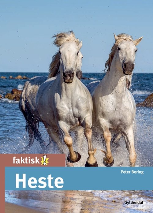 Cover for Peter Bering · Faktisk!: Heste (Gebundesens Buch) [1. Ausgabe] (2019)