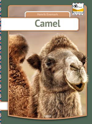 My first book: Camel - Henrik Enemark - Bøger - Turbine - 9788740670325 - 12. maj 2021