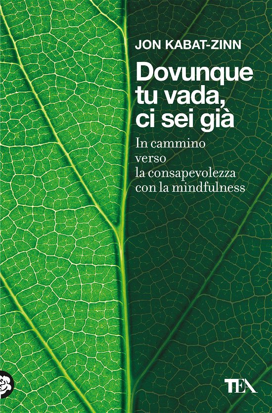 Cover for Jon Kabat-Zinn · Dovunque Tu Vada Ci Sei Gia. In Cammino Verso La Consapevolezza Con La Mindfulness (Book)