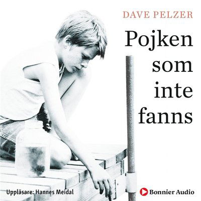 Cover for Dave Pelzer · Pojken som inte fanns (Hörbok (MP3)) (2020)