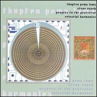 Prayers to the Protector - Lama, Thupten Pema & Steve Roach, Thupten Pema Lama / Steve Roac - Música - CELESTIAL HARMONIES - 0013711318326 - 2002