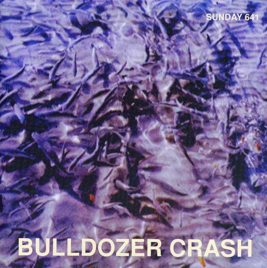 Cover for Bulldozer Crash · Imperfection (CD) (1995)