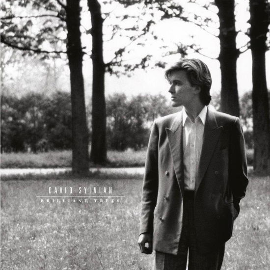 Brilliant Trees - David Sylvian - Muziek - VIRGIN - 0602567953326 - 16 april 2021