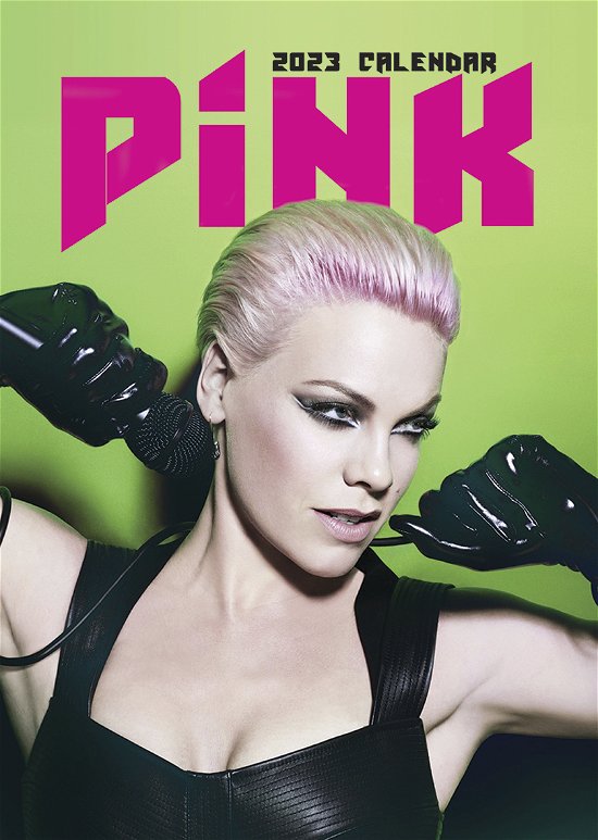 Cover for Pink · Pink 2023 Unofficial Calendar (Calendar) (2022)