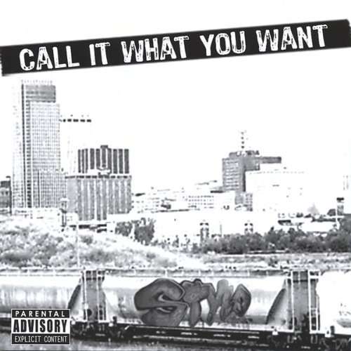 Cover for Stylo · Call It What You Want (CD) (2004)