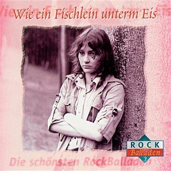 Cover for Die Schonsten Rockballaden Vol. 3 / Various (CD) (1996)
