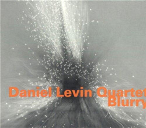 Blurry - Daniel Quartet Levin - Musikk - HATOLOGY - 0752156065326 - 7. januar 2008