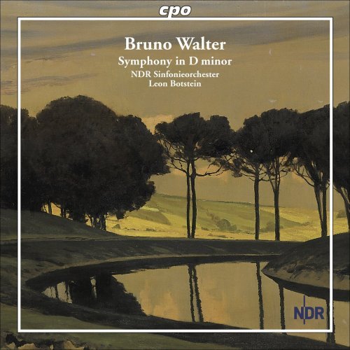 Walter / Ndr Sinfonieorchester / Botstein · Symphony in D Minor (CD) (2009)