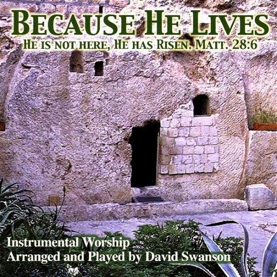 Cover for David Swanson · Because He Lives (CD) (2009)