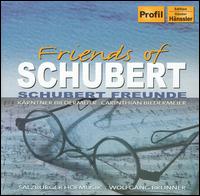 Virtuoso Violin Pieces - Schubert / Tonitz / Kreiner / Hofmusik / Brunner - Musik - PROFIL - 0881488503326 - 15 november 2005