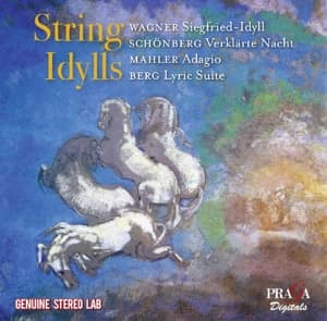 Cover for Wagner Richard · String Idylls (CD) (2016)